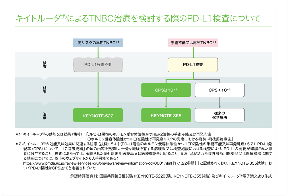 KN-522試験の対象患者