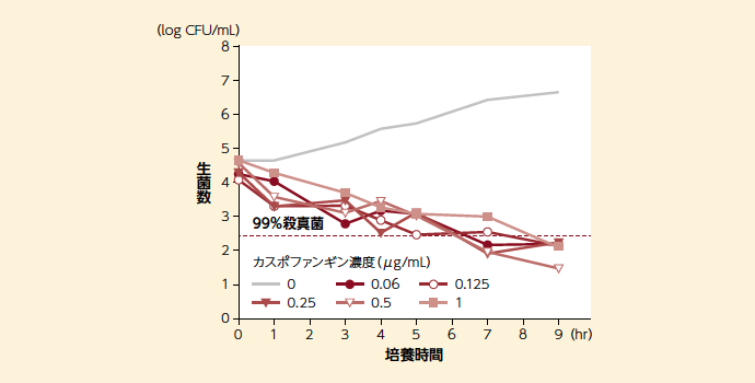 C. albicansに対するカスポファンギンの殺真菌作用の濃度及び時間依存性