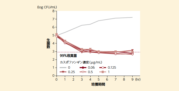 C. tropicalisに対するカスポファンギンの殺真菌作用の濃度及び時間依存性