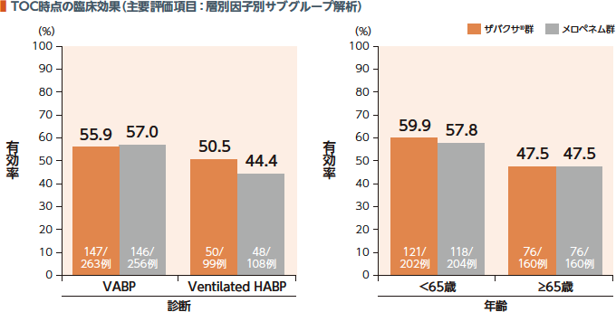 TOC時点の臨床効果（主要評価項目：層別因子別サブグループ解析）