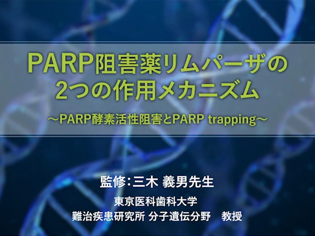 リムパーザ錠リーフレット