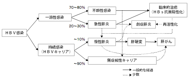 B型肝炎の感染様式 B型肝炎の感染様式