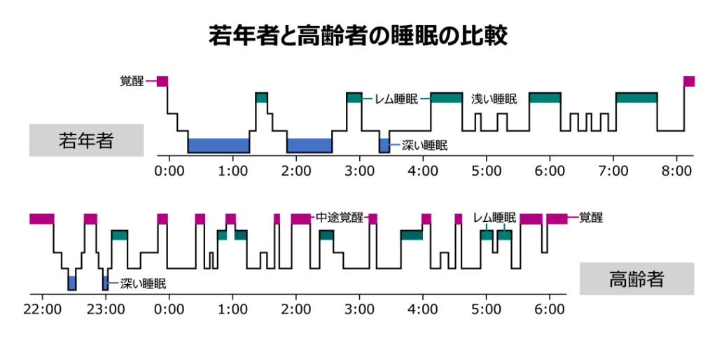 若年者と高齢者の睡眠の比較