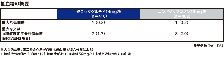 低血糖の概要(副次的評価項目)