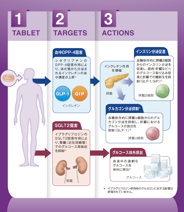 スージャヌ®配合錠の薬理作用