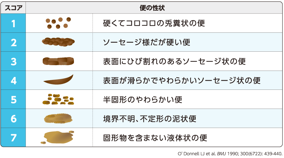 ブリストル便形状スケール