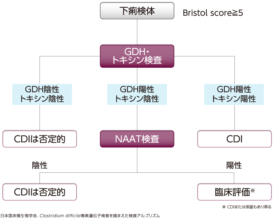 通常診療におけるC. difficile検査の考え方