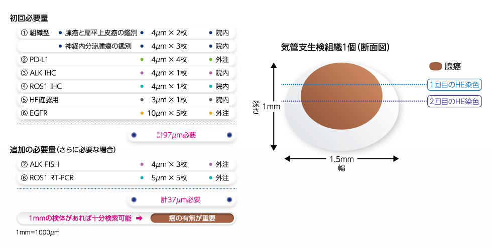 検体組織の最大必要量