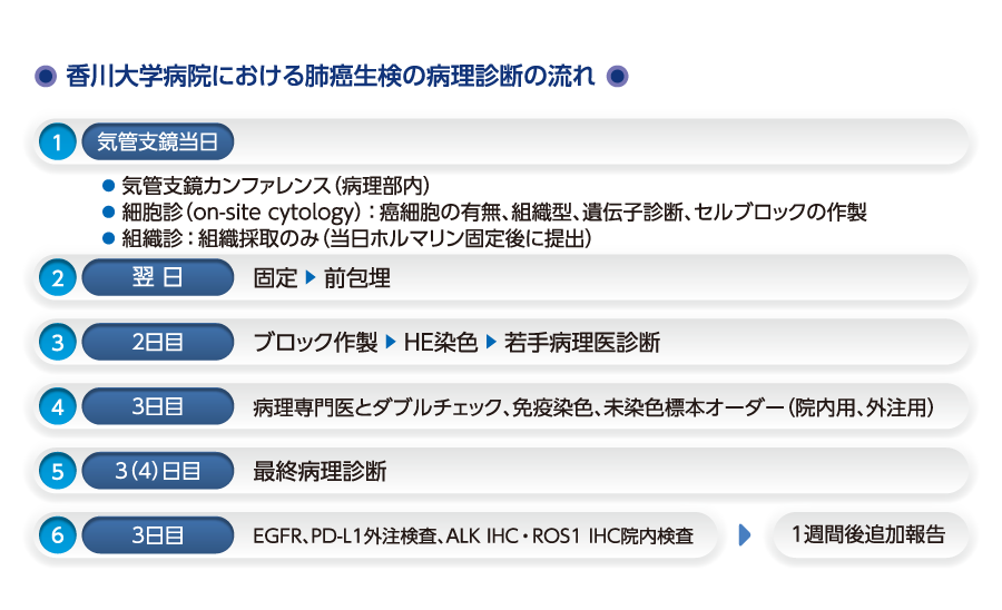 香川大学病院における肺癌生検の病理診断の流れ