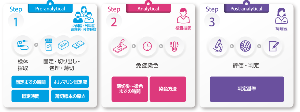 Pre-analytical、Analytical、Post-analyticalの各段階