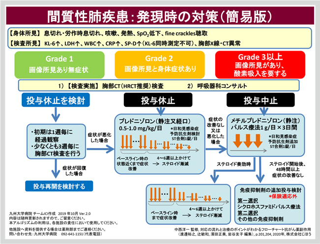 図2: 間質性肺疾患:発現時の対策(簡易版)