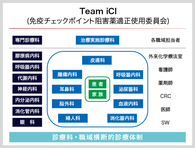 図3：Team iCIの構成メンバー