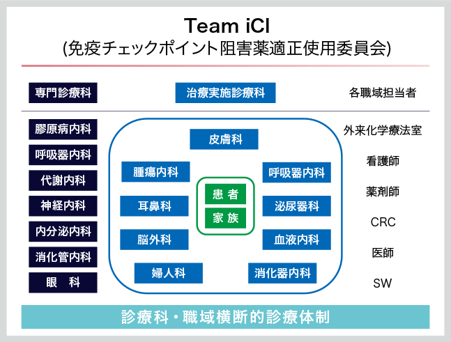 図3:Team iCIの構成メンバー