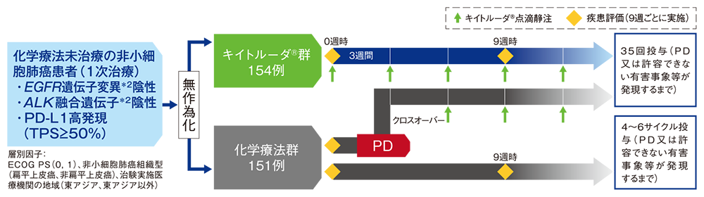 試験概要