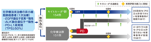 試験概要