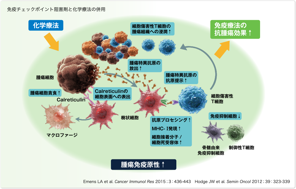 免疫チェックポイント阻害薬と化学療法の併用