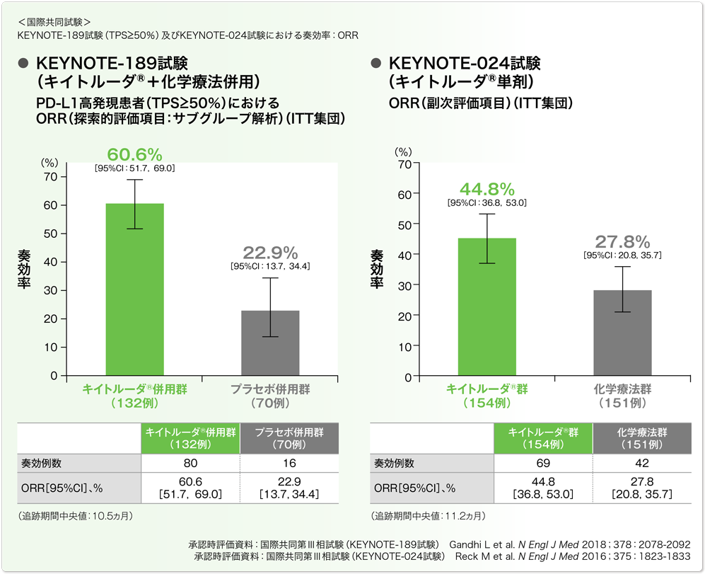 国際共同試験