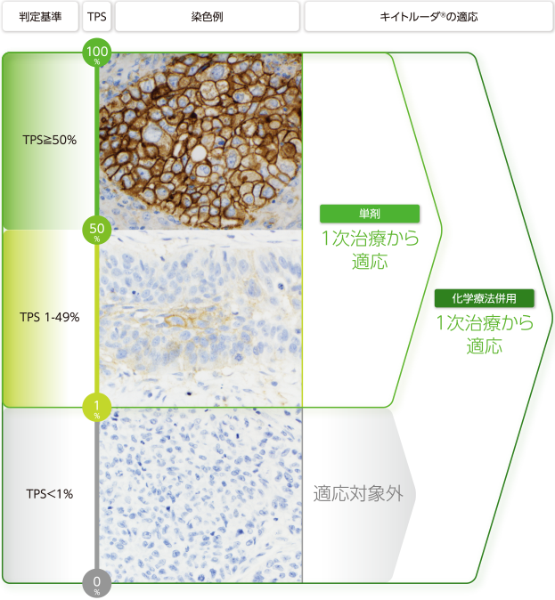 キイトルーダ®のTPS別にみた適応状況