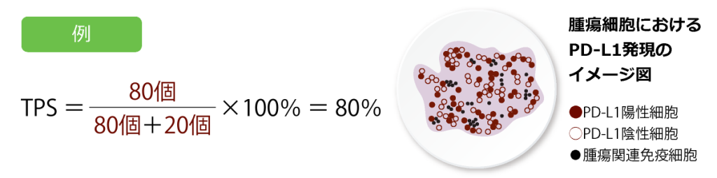TPS計算式の例