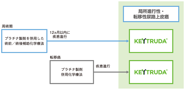 試験概要