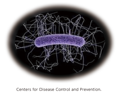 CDIでは菌そのものではなく、菌から放出されるトキシンが腸管壁を傷害し、腸管の炎症反応を惹起