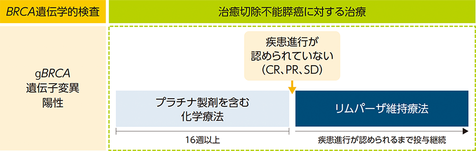 検査の結果と治療選択肢