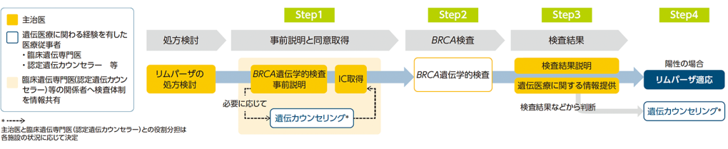BRCA遺伝学的検査プロセス