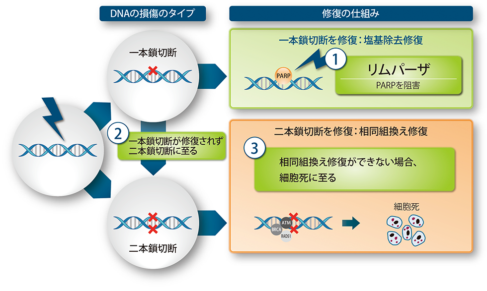 その他のリソース