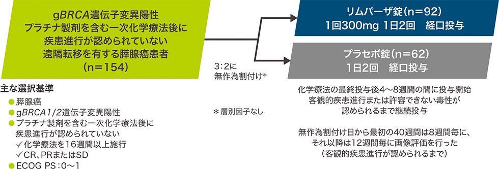 試験概要