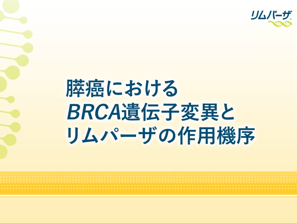 リムパーザとアルコール