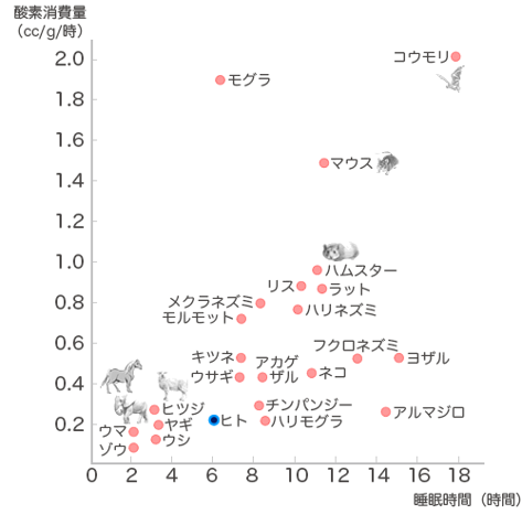 グラフ