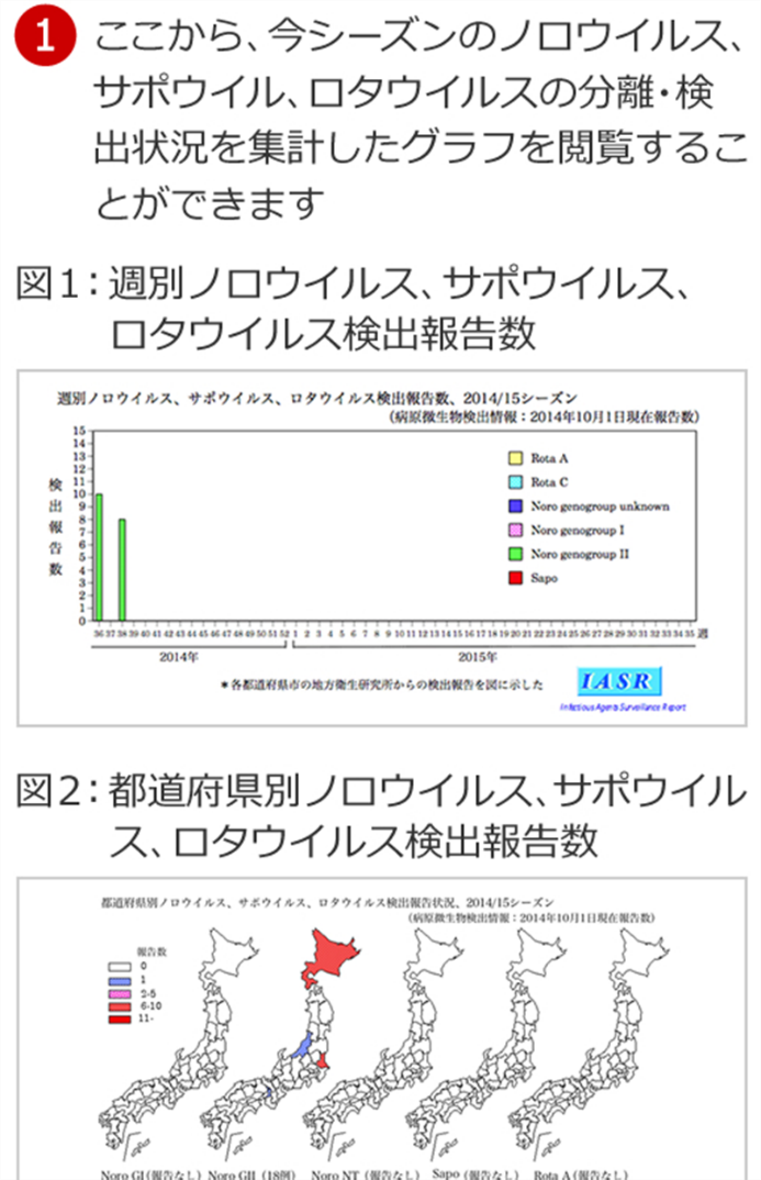 ロタウイルス等の検出状況のグラフ