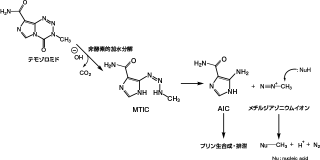 img_feature _fig01.png