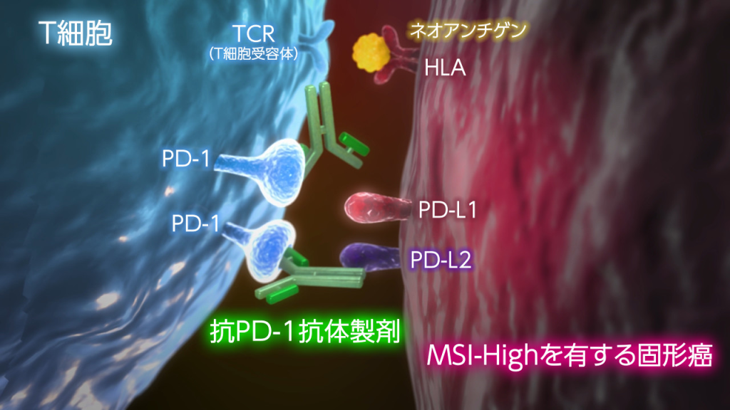 MSI-Highを有する固形癌とキイトルーダ®【ダイジェスト3分版】
