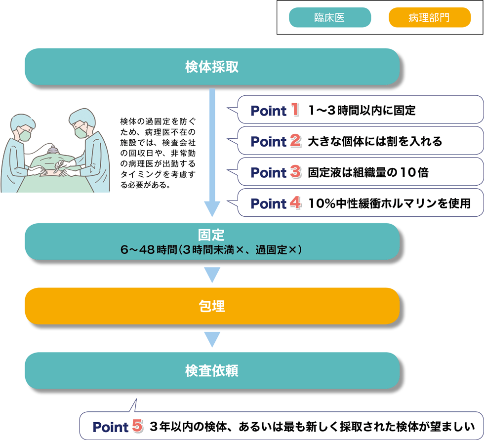 当院におけるMSI検査の流れ