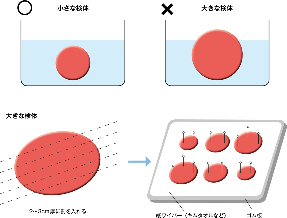 適切な固定液の量