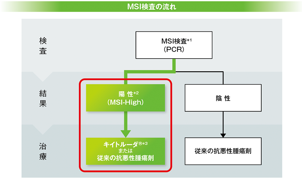 MSI検査の流れ