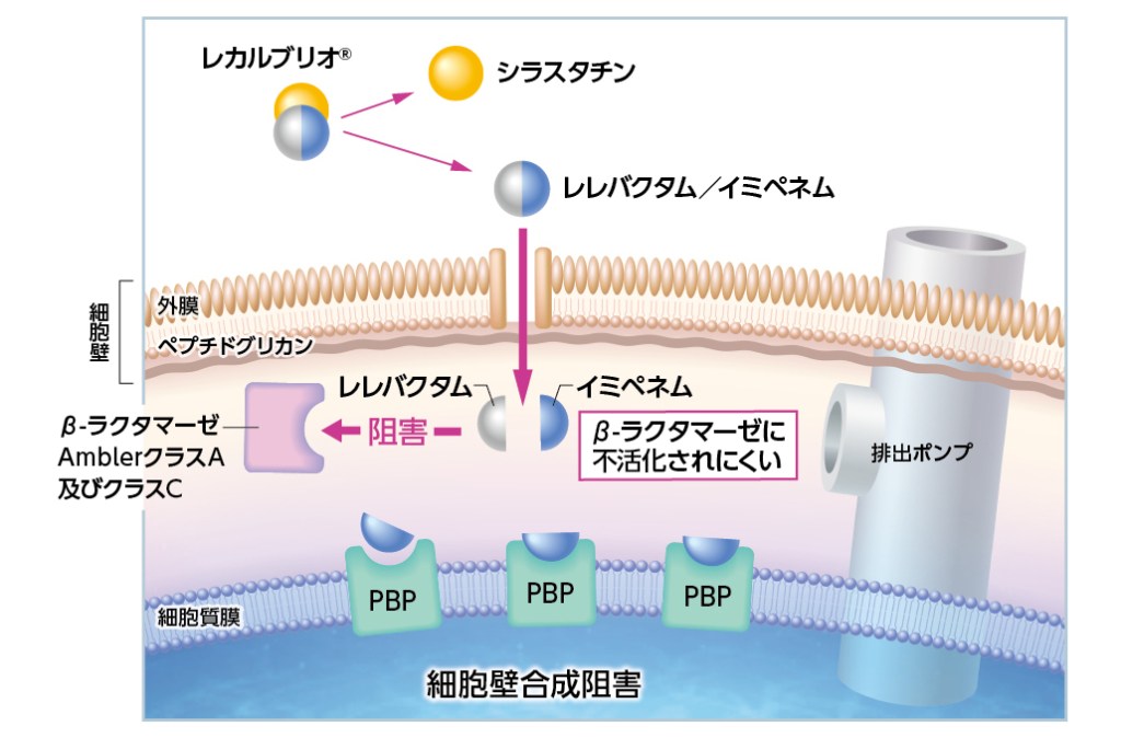 図：レレバクタム