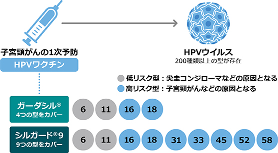 子宮頸がんとHPVワクチン