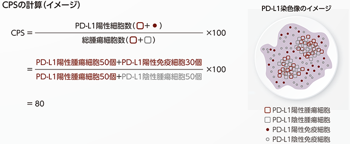 CPS計算のイメージ