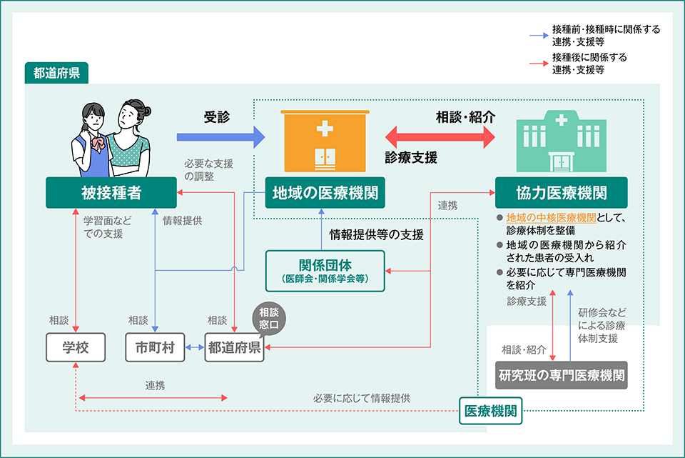 地域におけるHPVワクチン接種に係る診療・相談体制の強化のイメージ
