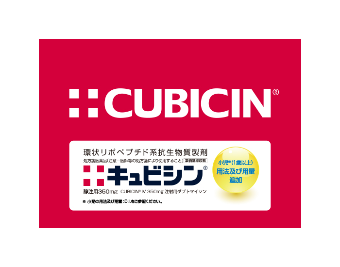 キュビシンの雄牛