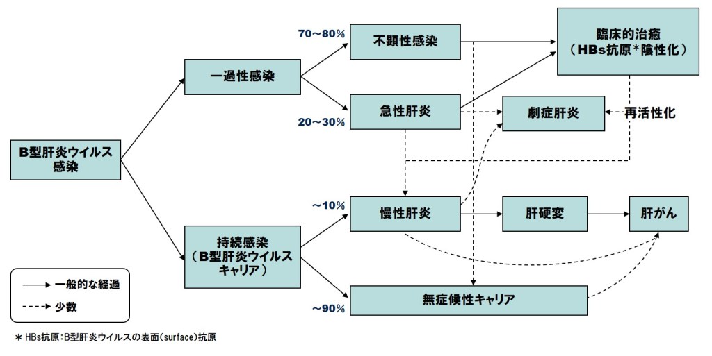 B型肝炎の感染様式