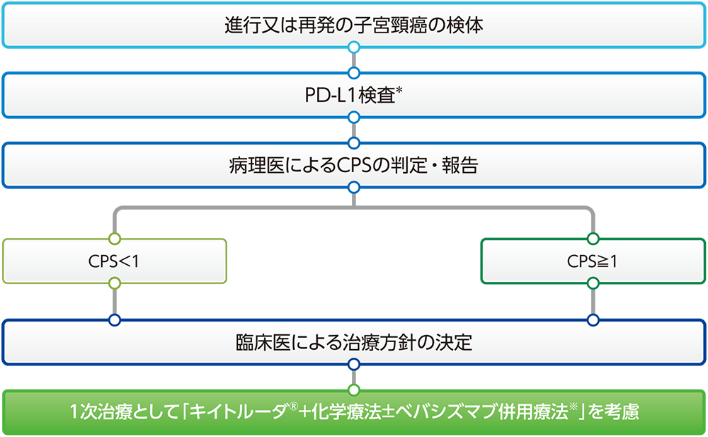 PD-L1 IHC 22C3 pharmDx「ダコ」(ASL48用)によるPD-L1検査のタイミング