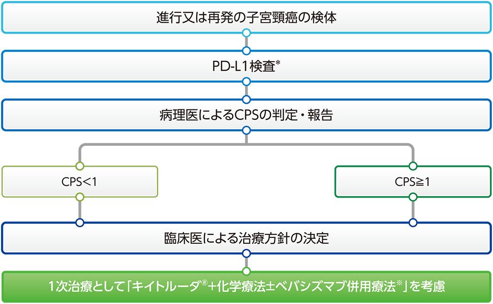 PD-L1 IHC 22C3 pharmDx「ダコ」（ASL48用）によるPD-L1検査のタイミング