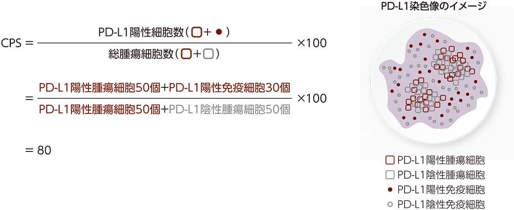 CPS計算のイメージ