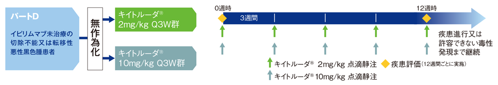 試験デザイン