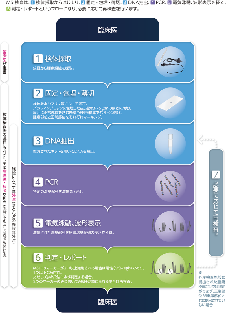 MSI検査フロー