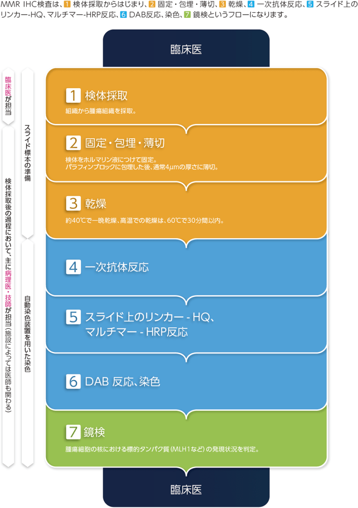 MMR IHC検査フロー