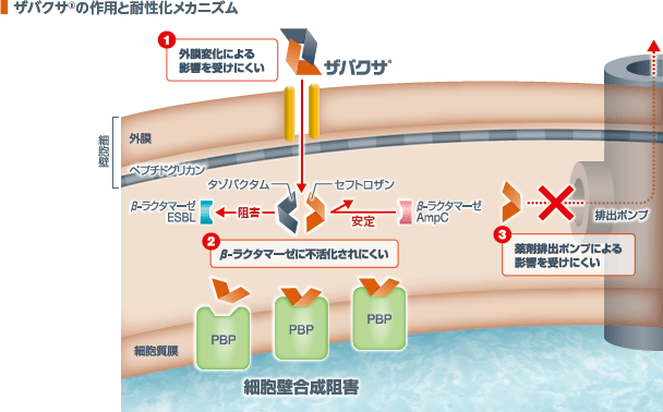 ザバクサの作用と耐性化メカニズム